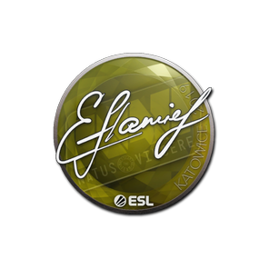 印花 | flamie | 2019年卡托维兹锦标赛