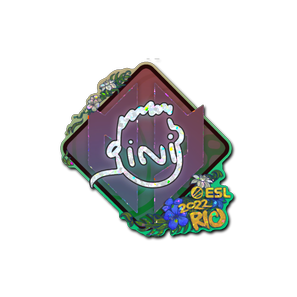 印花 | VINI(闪耀)| 2022年里约热内卢锦标赛