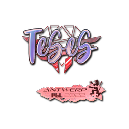印花 | TeSeS(全息) | 2022年安特卫普锦标赛