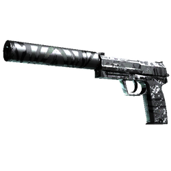 USP 消音版(StatTrak™) | 黑水 (久经沙场)