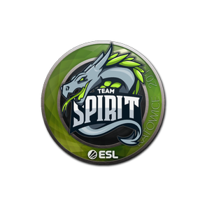 印花 | Team Spirit | 2019年卡托维兹锦标赛