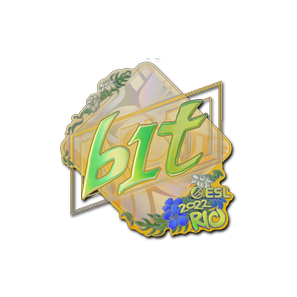 印花 | b1t(全息)| 2022年里约热内卢锦标赛