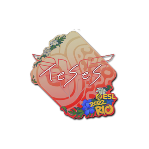 印花 | TeSeS | 2022年里约热内卢锦标赛
