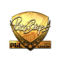 印花 | pashaBiceps(金色)| 2017年克拉科夫锦标赛