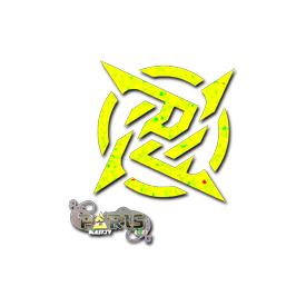 印花 | Ninjas in Pyjamas(闪耀)| 2023年巴黎锦标赛