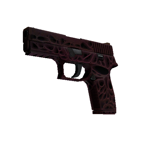 P250(StatTrak™) | 污染物 (略有磨损)