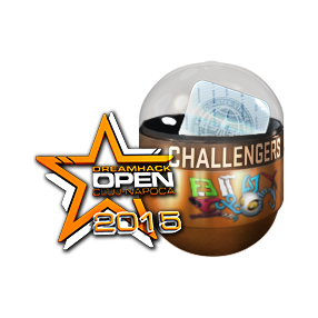 2015年 DreamHack 克卢日-纳波卡锦标赛挑战组(闪亮)